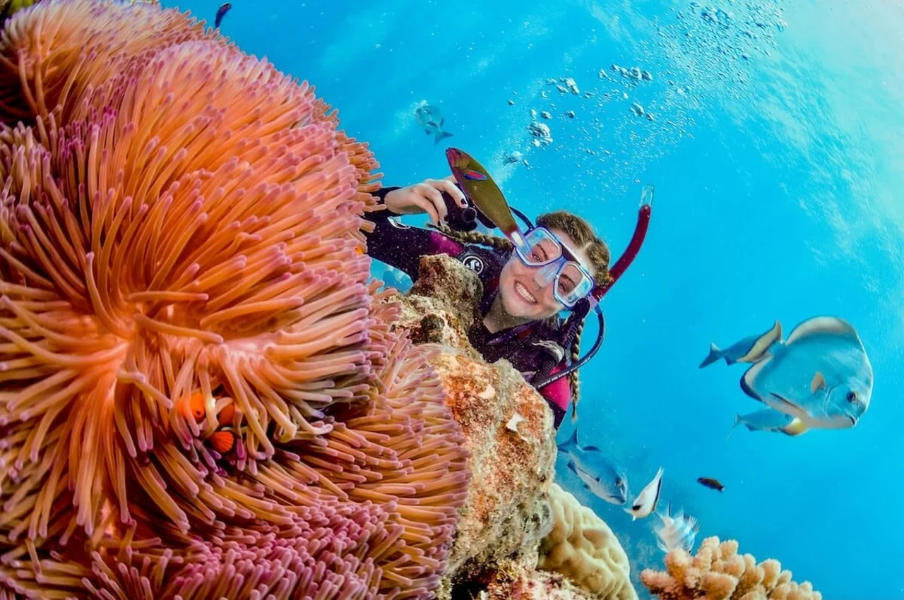 Diving at the Great Barrier Reef